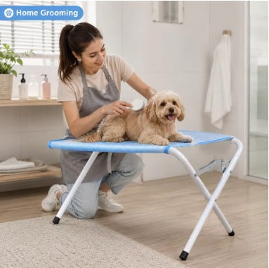 Woman grooming a small dog on a blue foldable Pawden grooming table at home